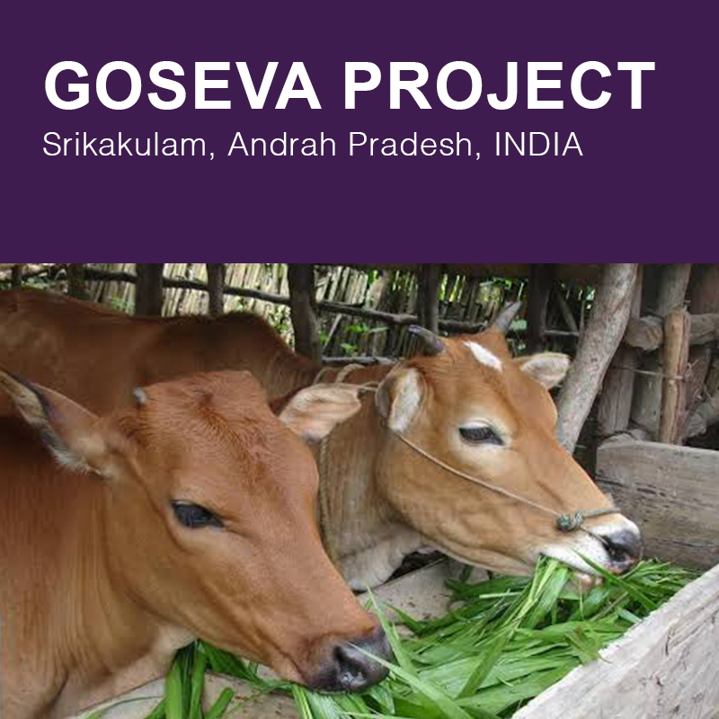 Goseva button